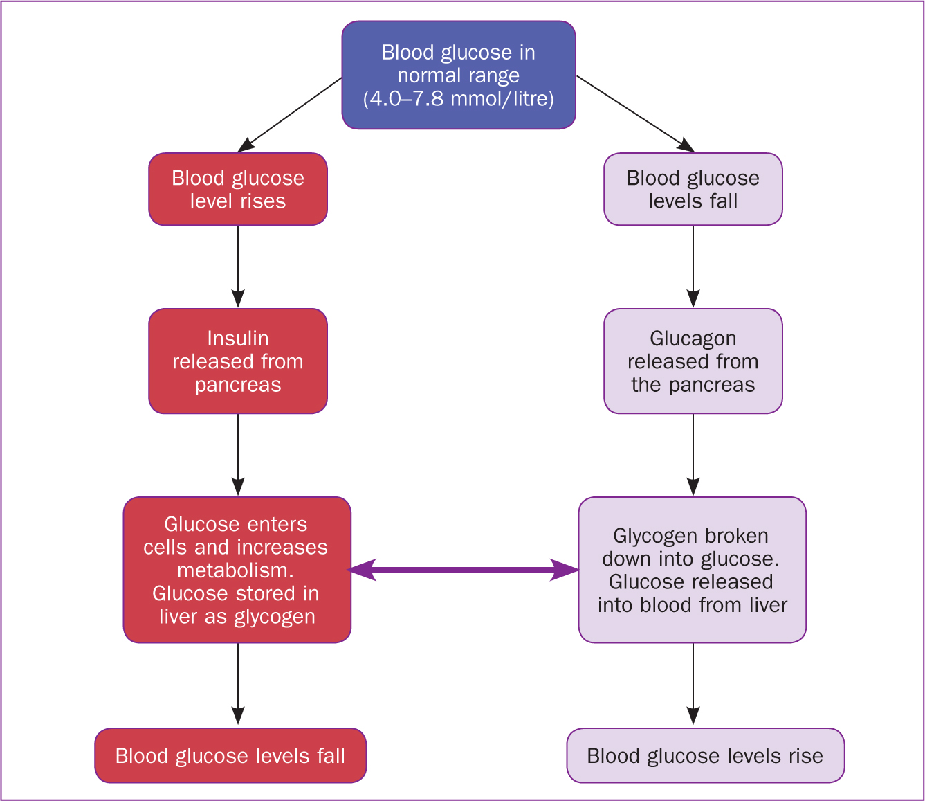 blood glucose control methods