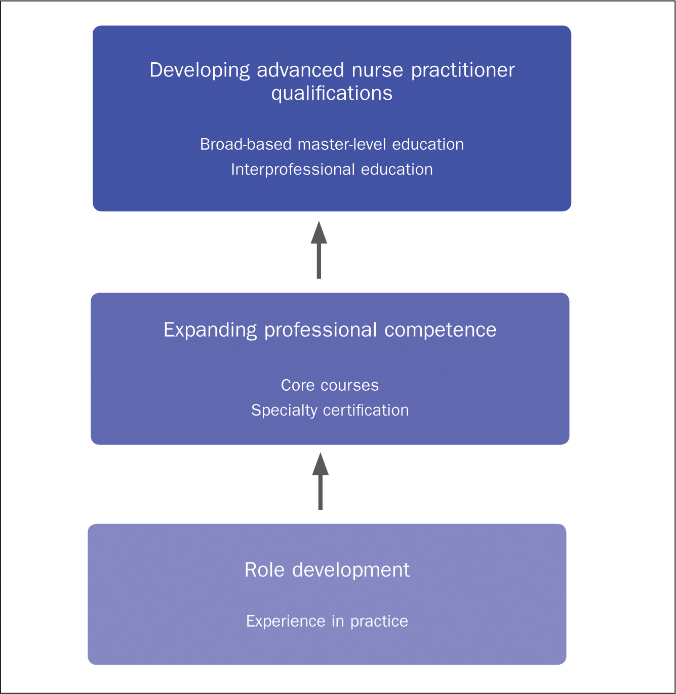 advanced nurse practitioner role