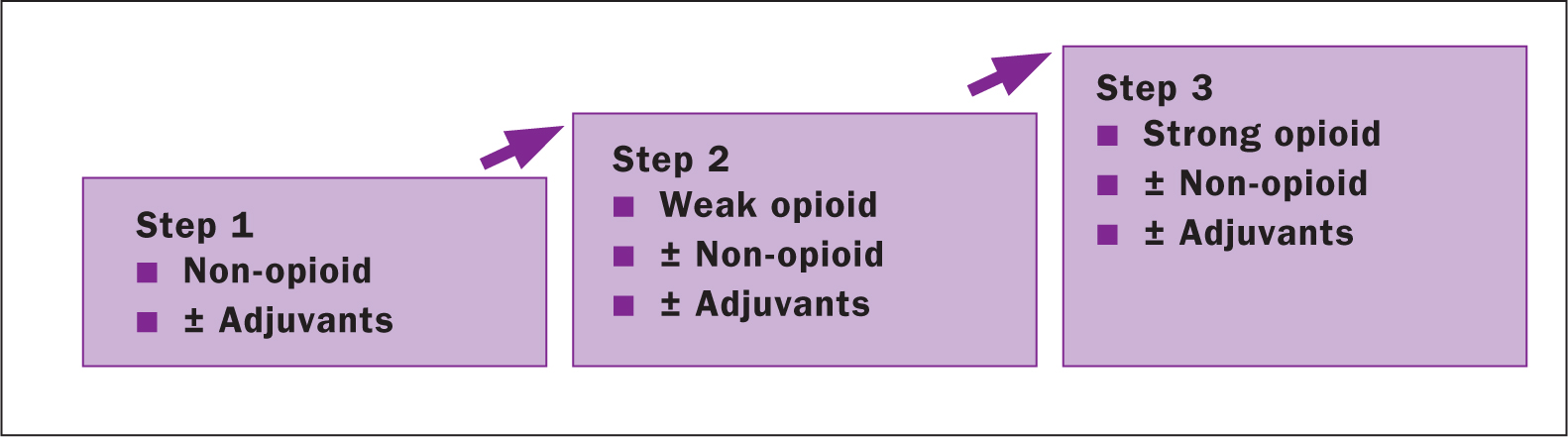 pain assessment assignment