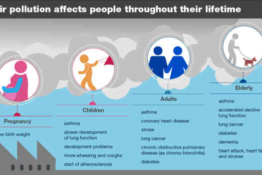 Figure 1. How air pollution affects people through life